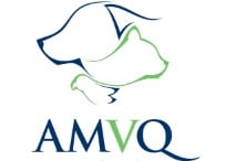 AMVQ en pratique des petits animaux AMVQ en pratique des petits animaux